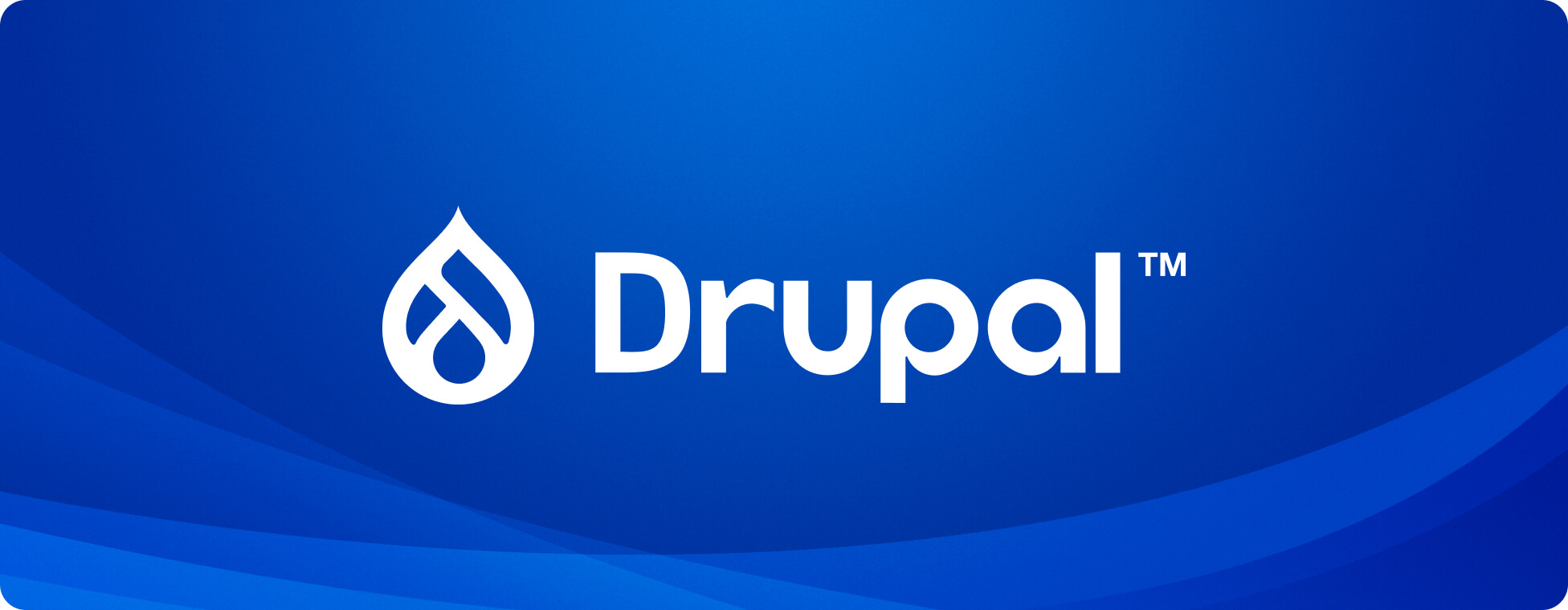 Drupal事業